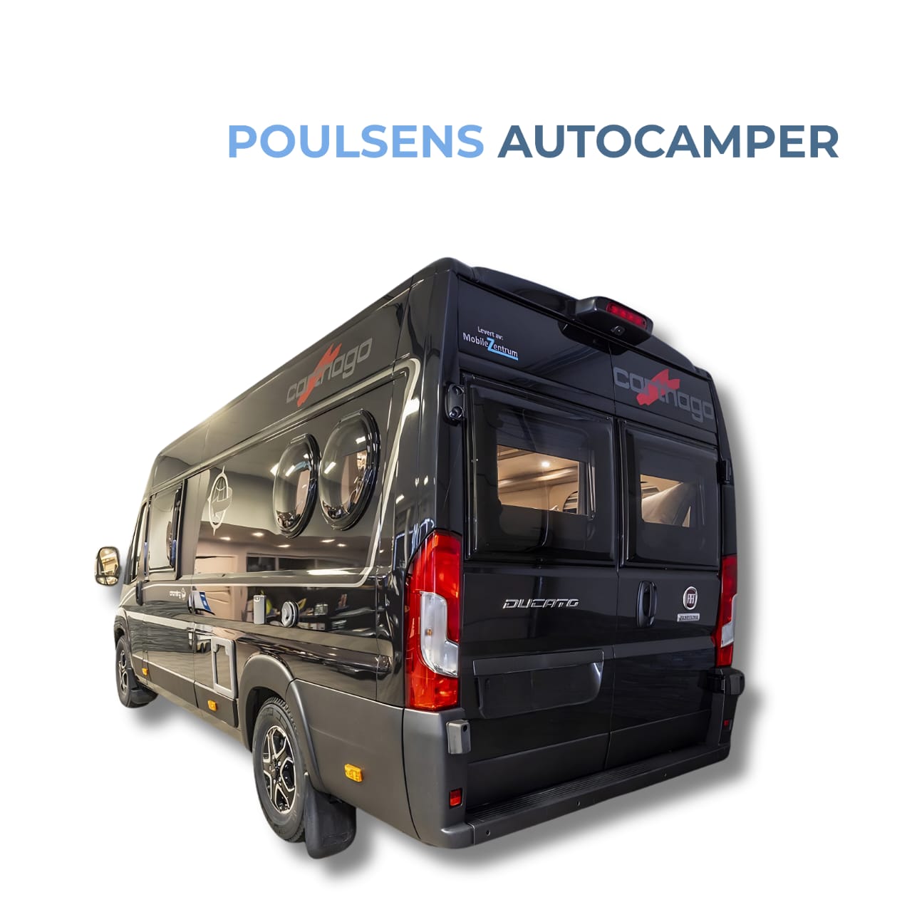 Vue arrière du camping-car urbain Carthago Van 640 2023 d’occasion sur base Fiat Ducato